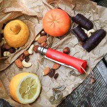 OPINEL Tradition Colorama No.08 (S) zsebkés, piros