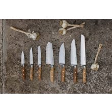 Wüsthof Amici steak kés 12 cm