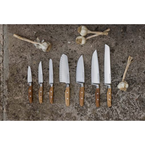 Wüsthof Amici steak kés 12 cm
