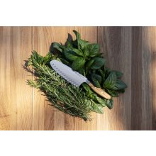 Wüsthof Amici Santoku 17 cm bordázott kés