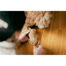 FISKARS Classic hajlított körömvágó olló (10 cm)