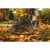 FISKARS Solid lombseprű (XL)