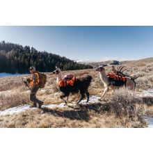 GERBER Randy Newberg DTS zsebkés