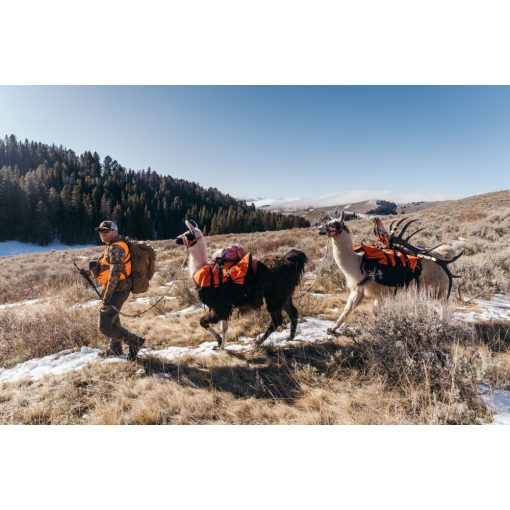 GERBER Randy Newberg DTS zsebkés