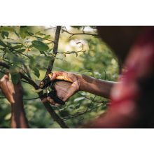 FISKARS Plus mellévágó metszőolló P721