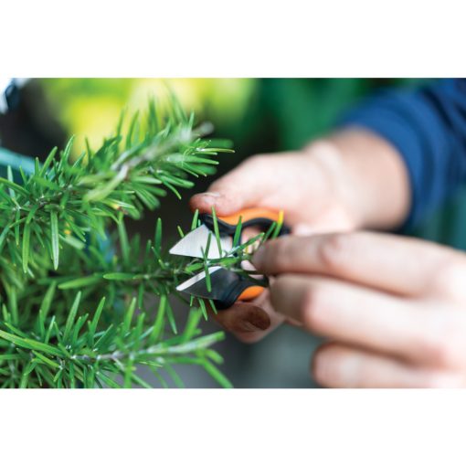 FISKARS Solid fűszernövényvágó olló SP220
