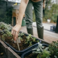 FISKARS Solid gyomláló villa