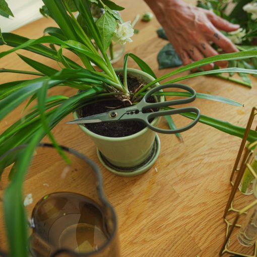 FISKARS Urban Gardening virágvágó olló tárolóval