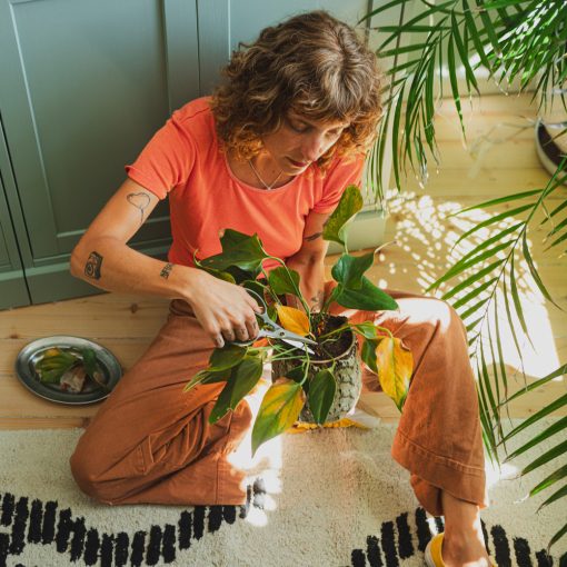 FISKARS Urban Gardening virágvágó olló tárolóval