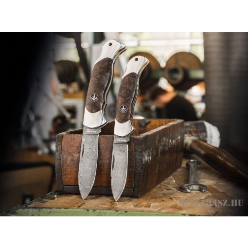 Böker Solingen Junior Scout Spearpoint Curly Birch Damascus Zsebkés