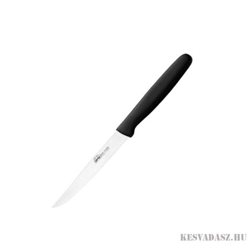 DUE CIGNI recézett steak kés 11 cm - hegyes