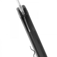 Ganzo Firebird FH11-CF zsebkés