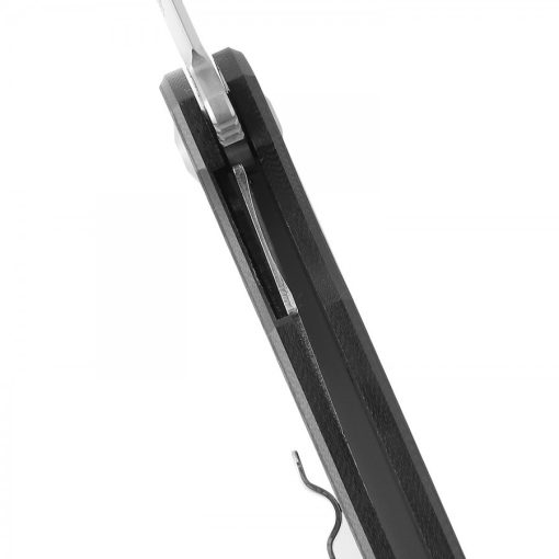 Ganzo Firebird FH11-CF zsebkés