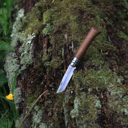 OPINEL Tradition Luxe No.08 (S) zsebkés, dió