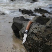 OPINEL Tradition Luxe No.08 (S) zsebkés, dió