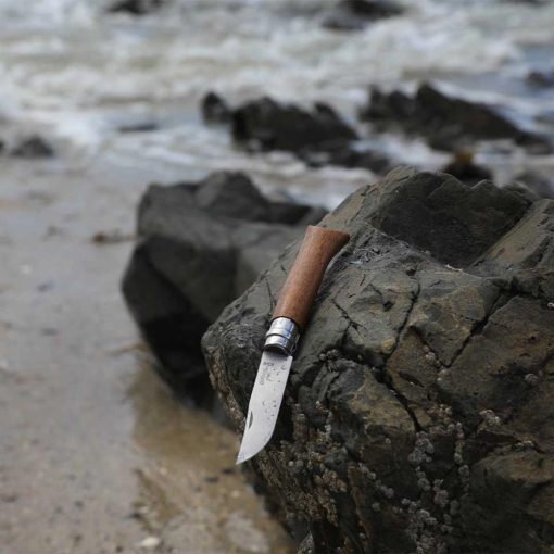 OPINEL Tradition Luxe No.08 (S) zsebkés, dió